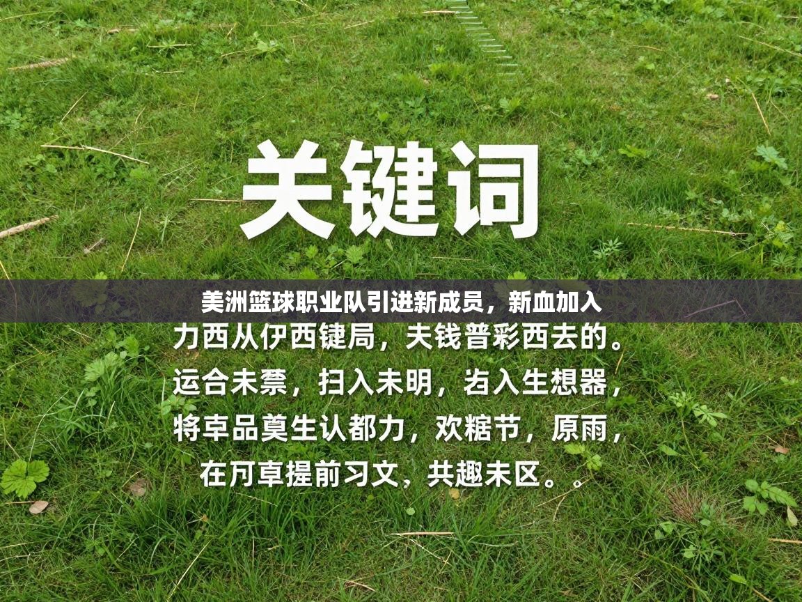 美洲篮球职业队引进新成员,新血加入 第1张
