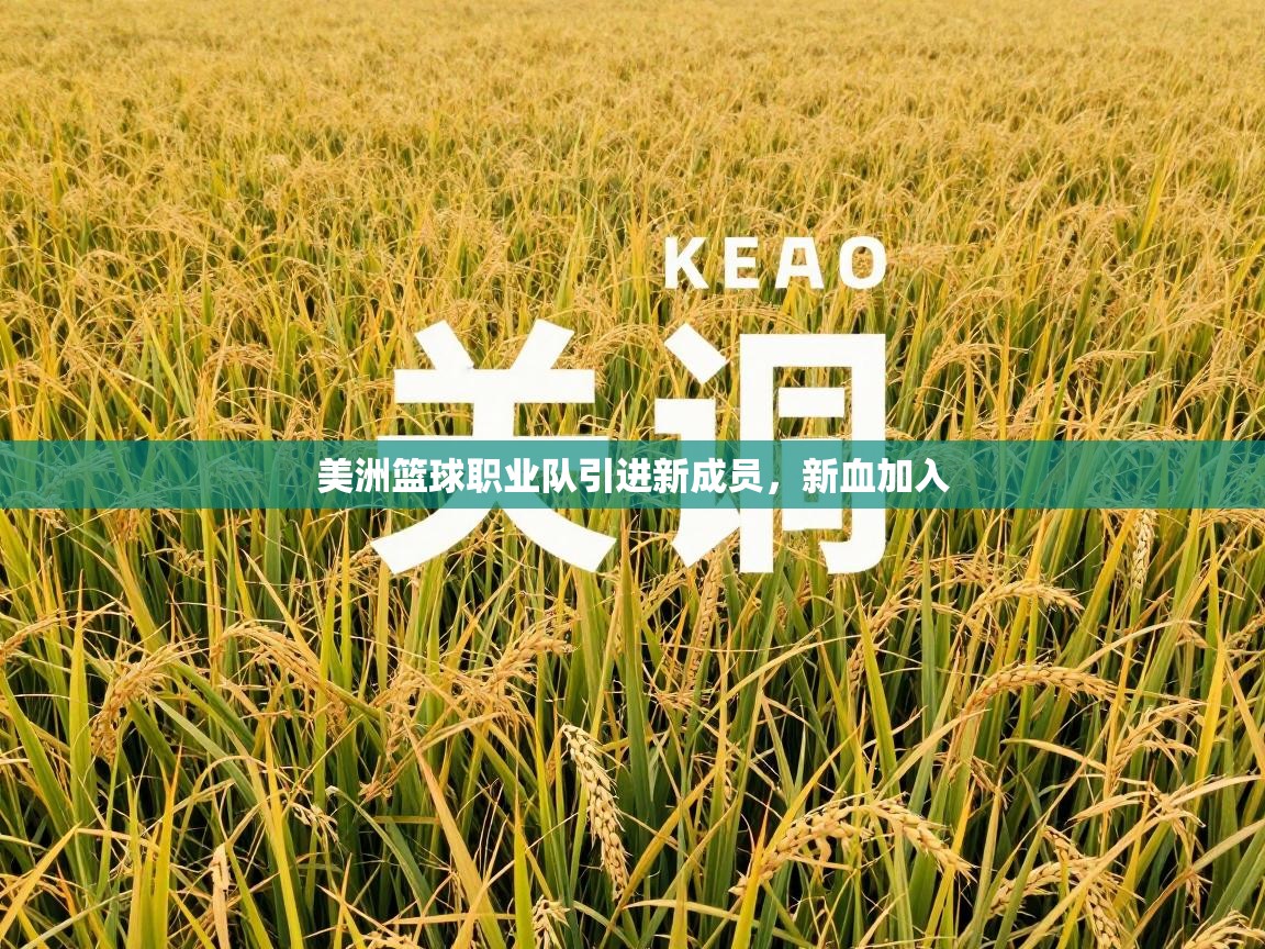 美洲篮球职业队引进新成员,新血加入 第2张