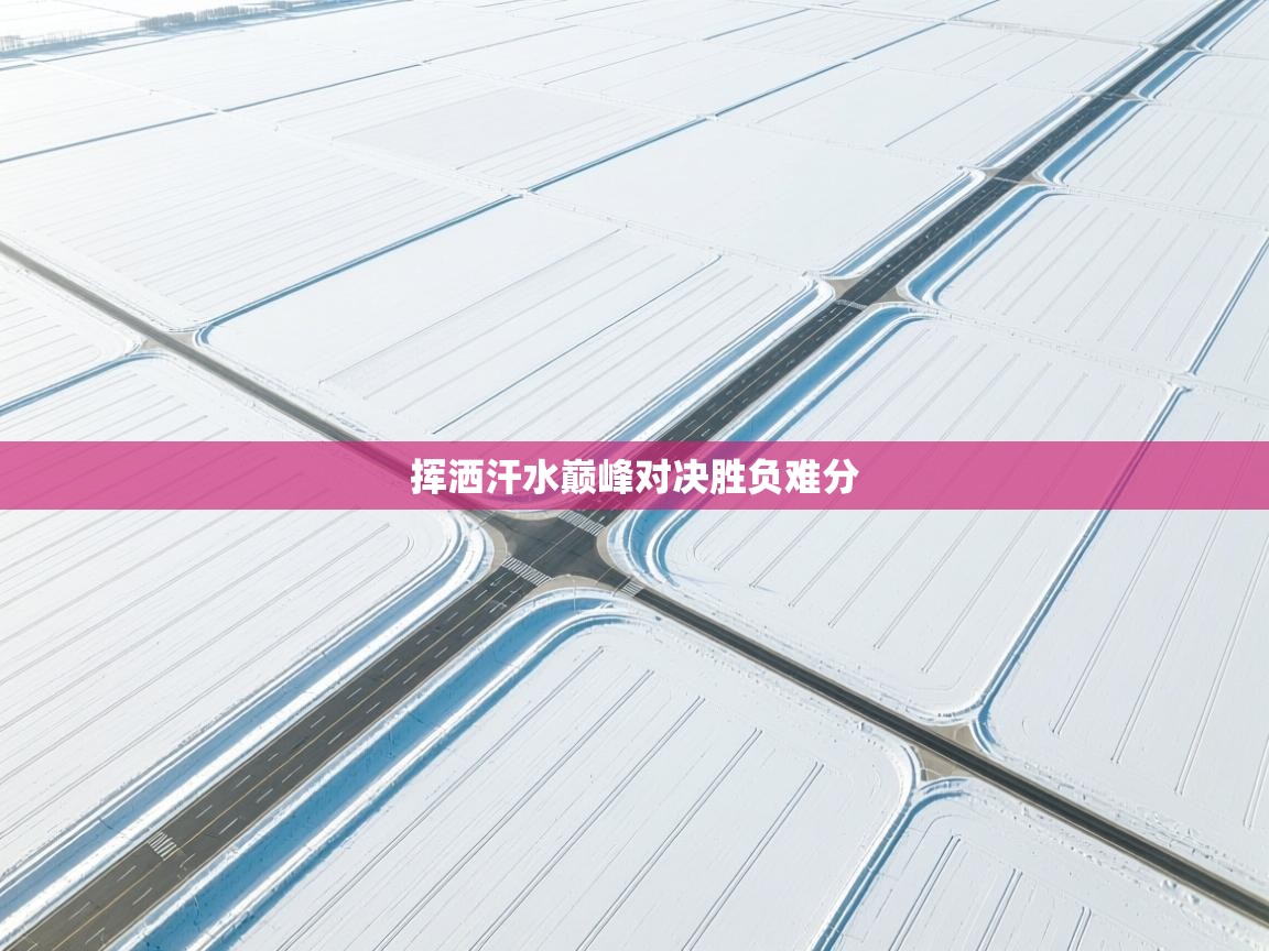 挥洒汗水巅峰对决胜负难分  第1张