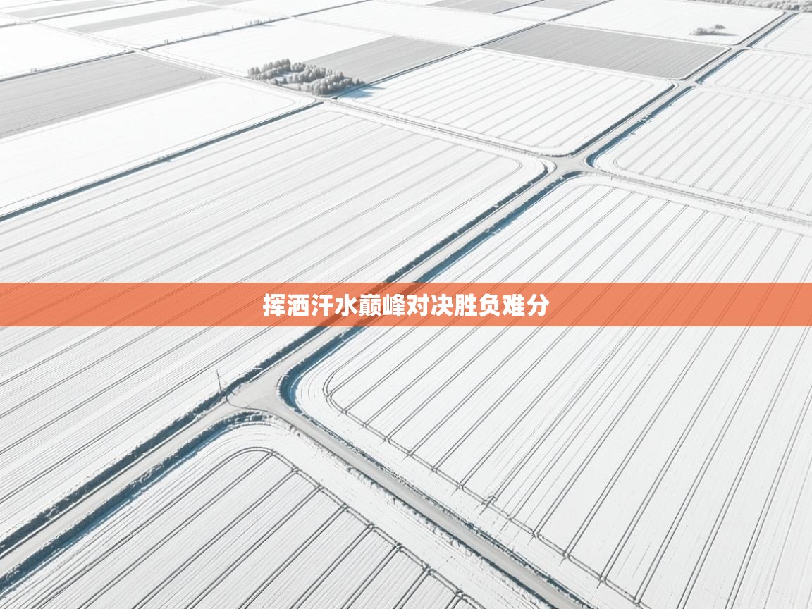 挥洒汗水巅峰对决胜负难分  第2张