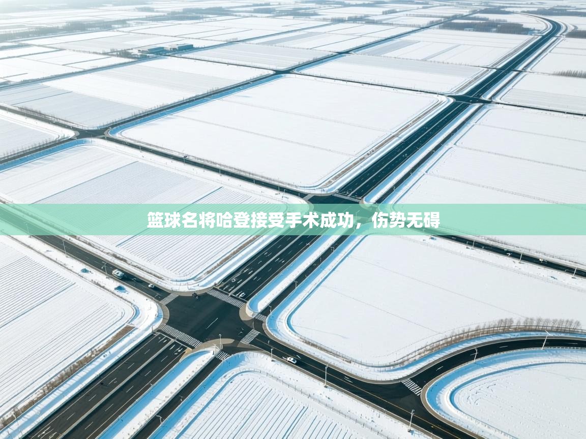 篮球名将哈登接受手术成功,伤势无碍 第1张