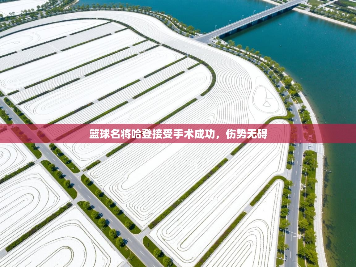 篮球名将哈登接受手术成功,伤势无碍 第2张