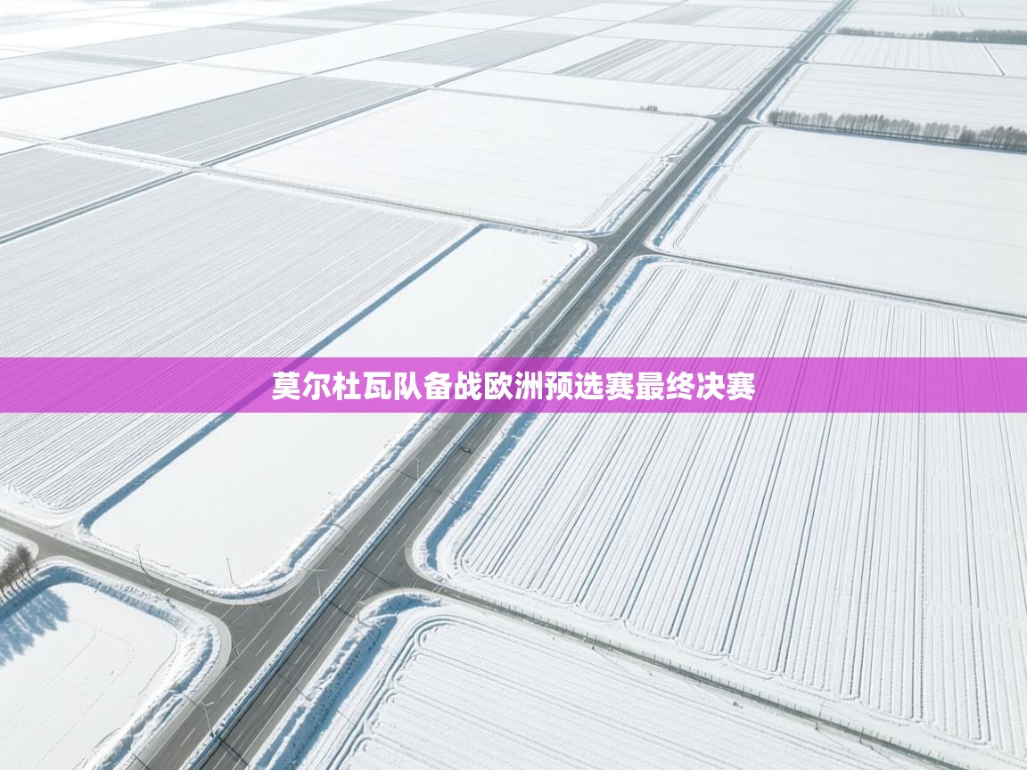 莫尔杜瓦队备战欧洲预选赛最终决赛 第2张